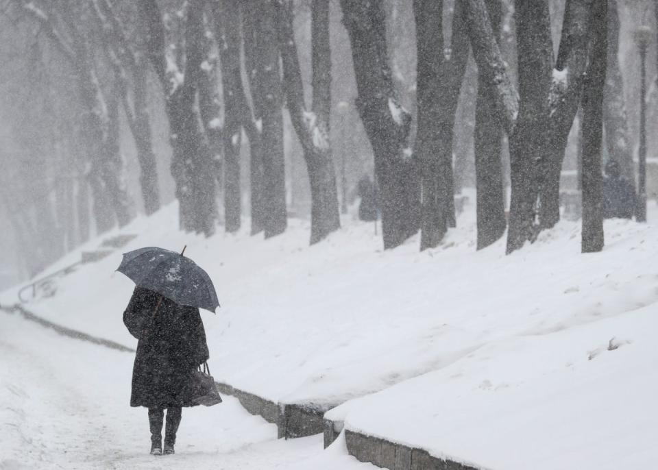 Ukraine: A woman shields herself under an umbrella during a heavy snowfall in central Kiev (Reuters)