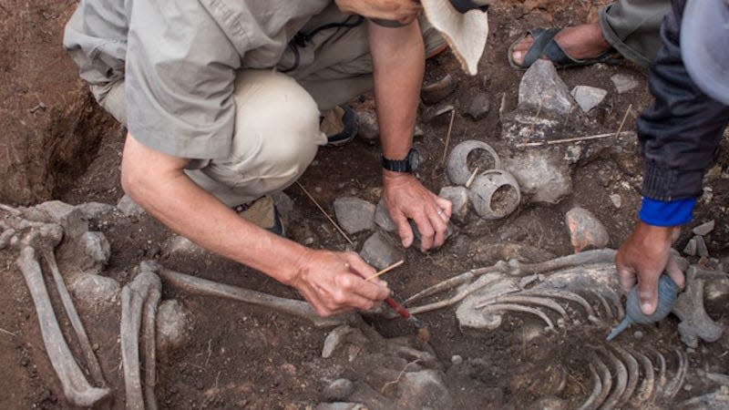 Archaeologists excavating the 3,000-year-old remains.