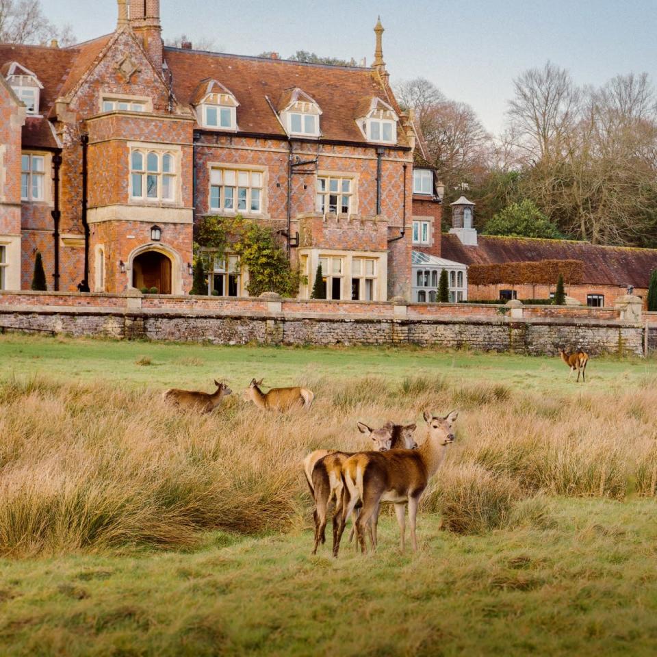 4. Be Lady Of The Manor In The New Forest