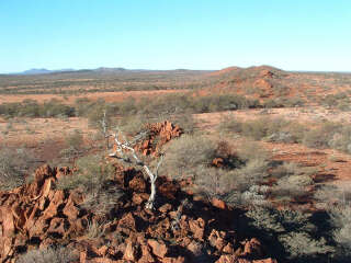 Le sol des Jack Hills en Australie-Occidentale abrite les plus anciens minéraux d’origine terrestre connus à ce jour.. PHOTO DOCUMENT REMIS/Simon Wilde/Curtin University