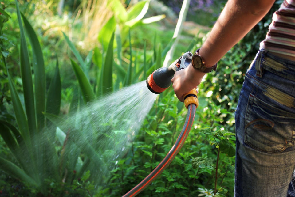 Make watering your gorgeous plants a breeze with the help of these long and strong garden hoses. (Source: iStock)