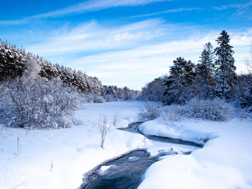 Stream running through a snow covered Wisconsin forest with snow covering the trees in January.