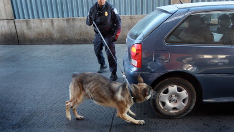 A US border officer and drug-sniffing German Shepherd inspect a vehicle entering the United States at the US-Mexico border crossing at Nogales, Arizona. Photo: Getty.