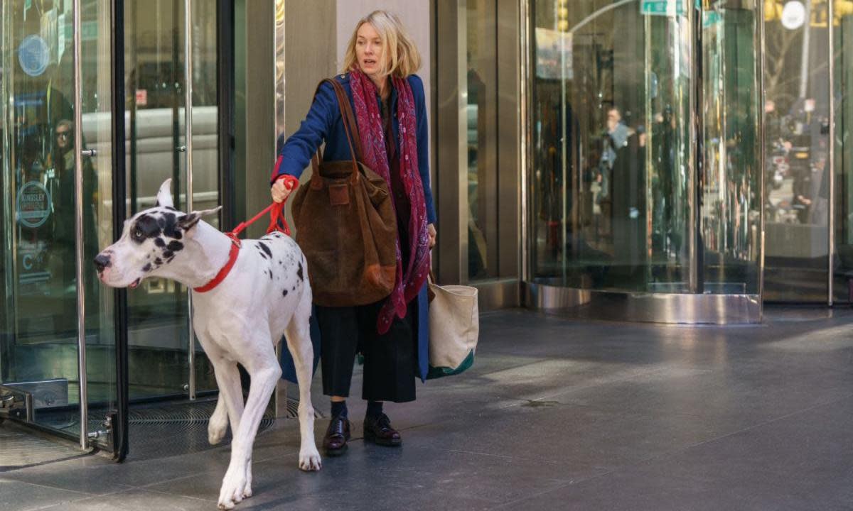 <span>Naomi Watts in The Friend, a sweet, naturalistic tale of this odd couple who learn to adore each other.</span><span>Photograph: 3Dot Productions</span>