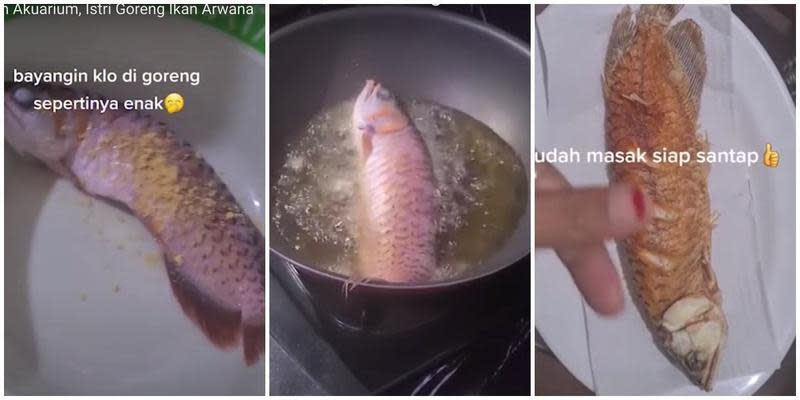 受不了老公不清魚缸，印尼人妻怒把紅龍魚炸來吃。（翻攝自TikTok@miakurniawan01）