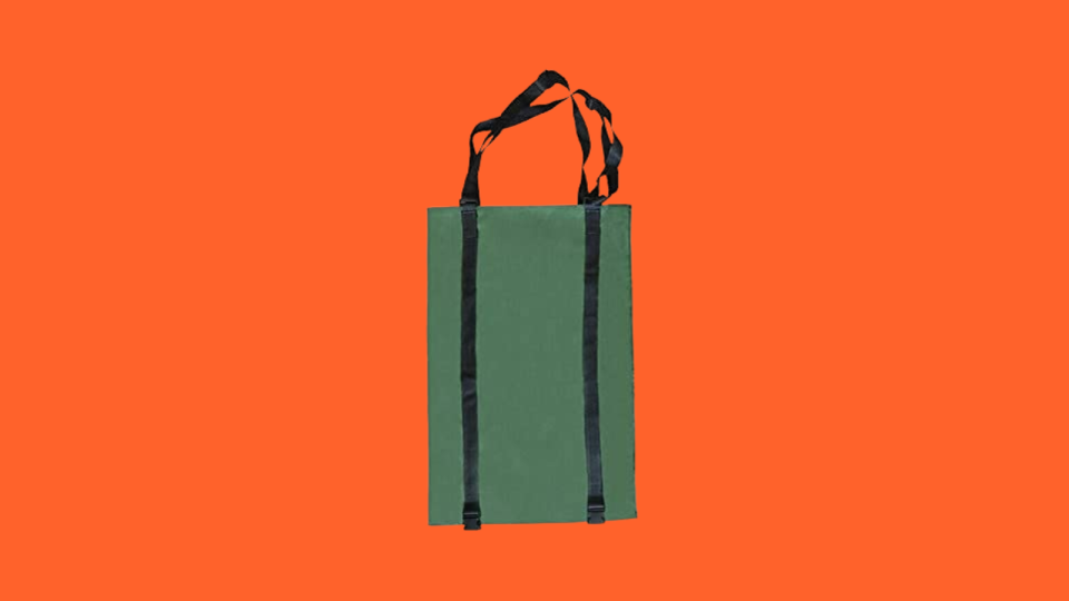 Bring this bag to hold all of your delicious apples.