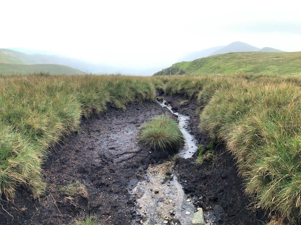 Conservationists are calling for New Year’s resolutions including restoring damaged peatlands (Emily Beament/PA)