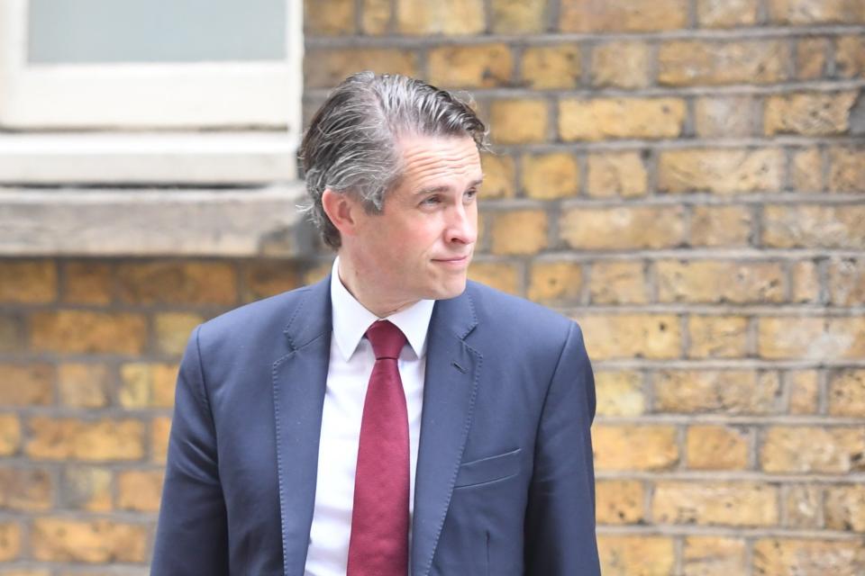 Gavin Williamson (Jeremy Selwyn)