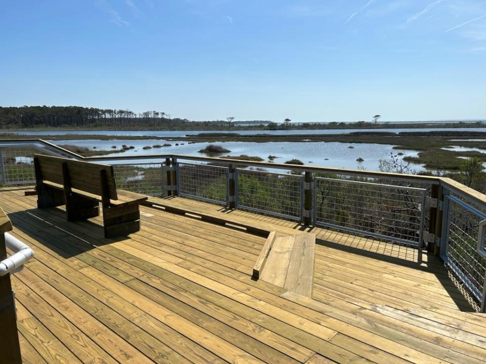 Life of the Forest Trail has reopened at Assateague Island National Seashore in Berlin, Md.
