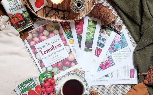 Lisa-Marie and Joe's best-selling e-book  - The Tomato Club 