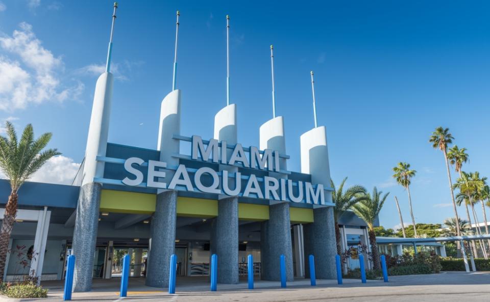 View of Seaquarium via Getty Images