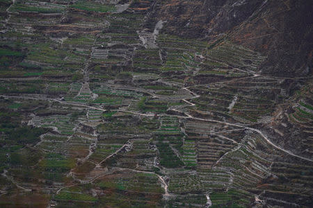 A mountain road which leads to a minority village, destroyed in the 2008 Sichuan earthquake, is seen in Wenchuan county, Sichuan province, China, April 5, 2018. REUTERS/Jason Lee