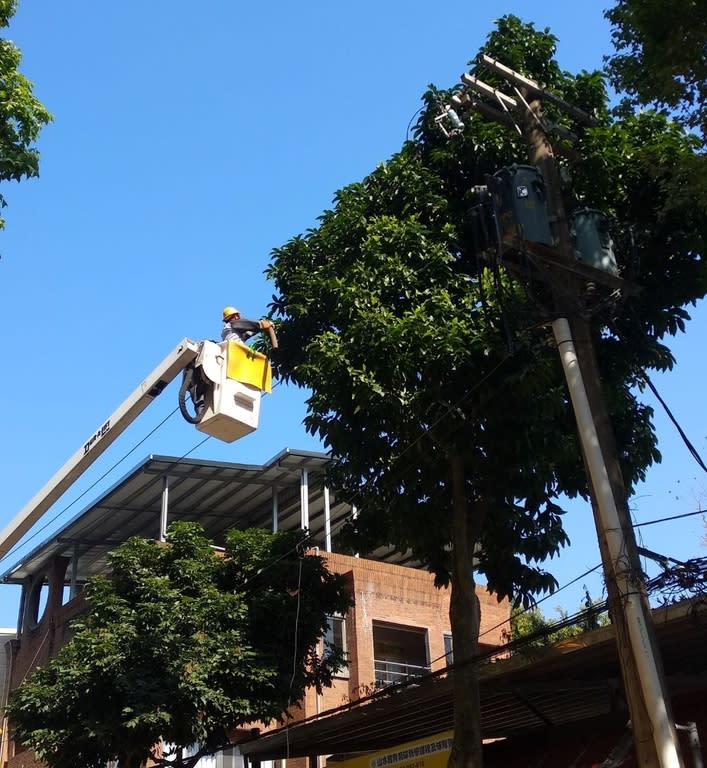 《圖說》台電人員於颱風來臨前預先修剪樹枝。〈北南區處提供〉