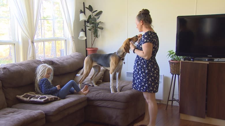 P.E.I. family gives neglected hounds a second chance