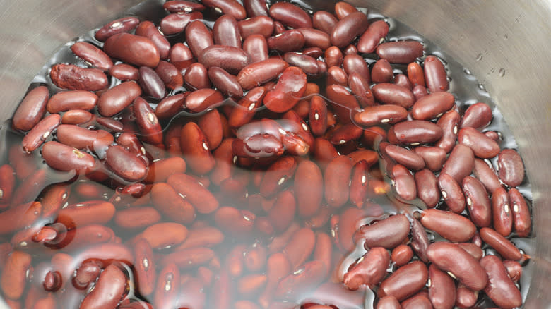 beans soaking in water bowl