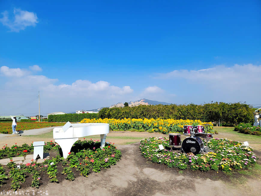 台中后里｜中社觀光花市