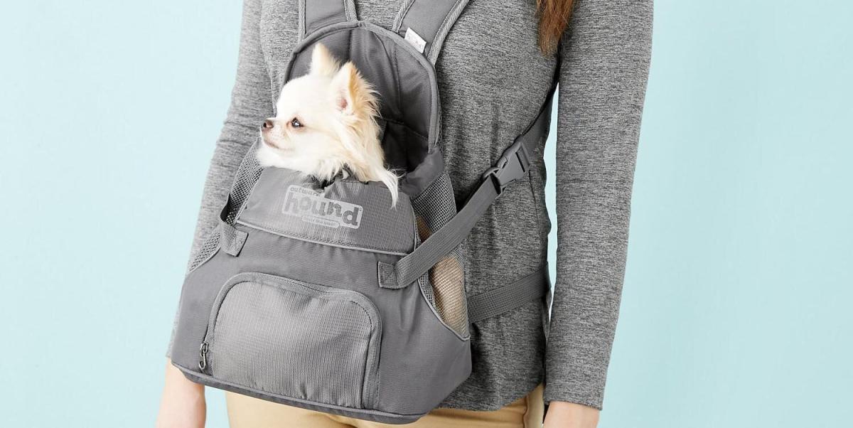 Outward Hound Backpack Carrier