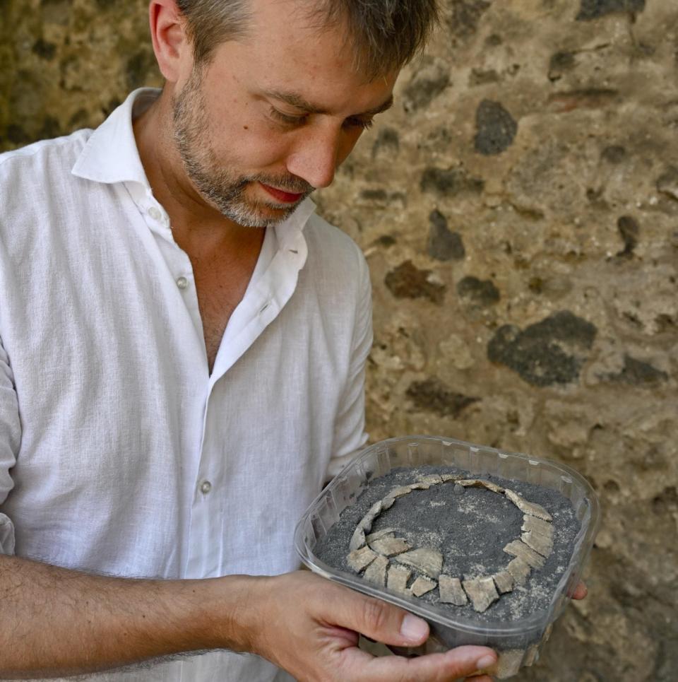 Gabriel Zuchtriegel, director of the archaeological park of Pompeii, with the remains of the tortoise - Shutterstock