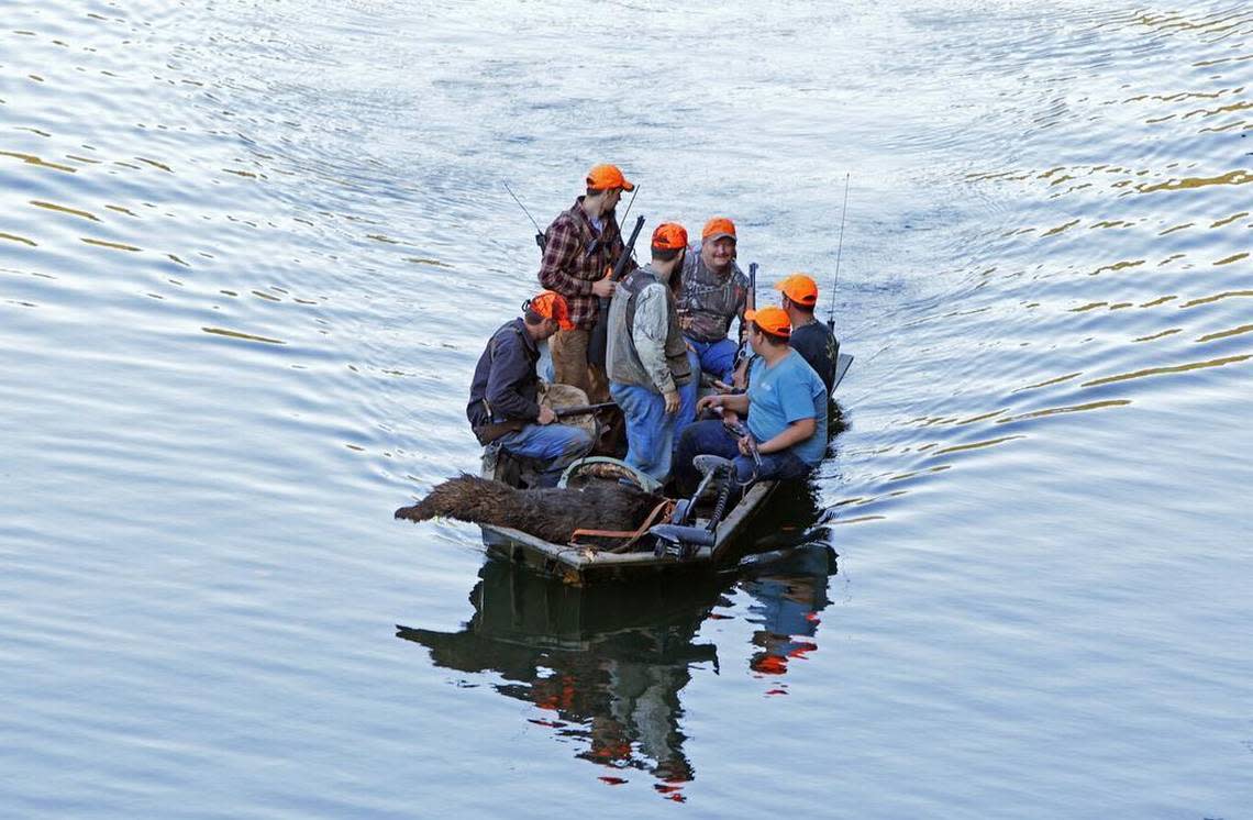 A group of hunters brings back a 220-pound bear by boat on Lake Tugaloo after a successful hunt in Oconee County. Bear hunting is a big tradition that attracts sportsmen from around the southeast to South Carolina. Hunters are allowed to hunt bear for one week out of the year. The hunt involves dogs that track the bear and corner it until the hunting group can arrive.