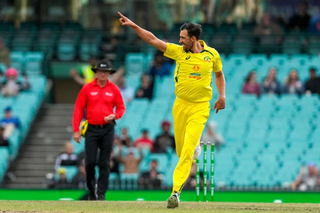 Mitchell Starc took four for 47 (Mark Baker/AP)