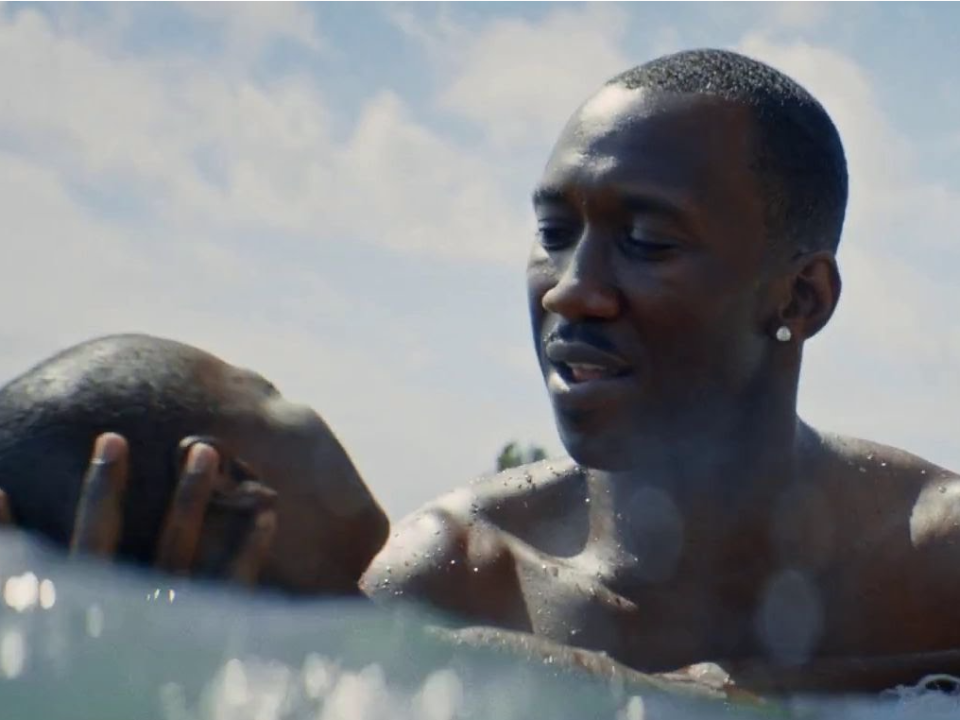 moonlight A24