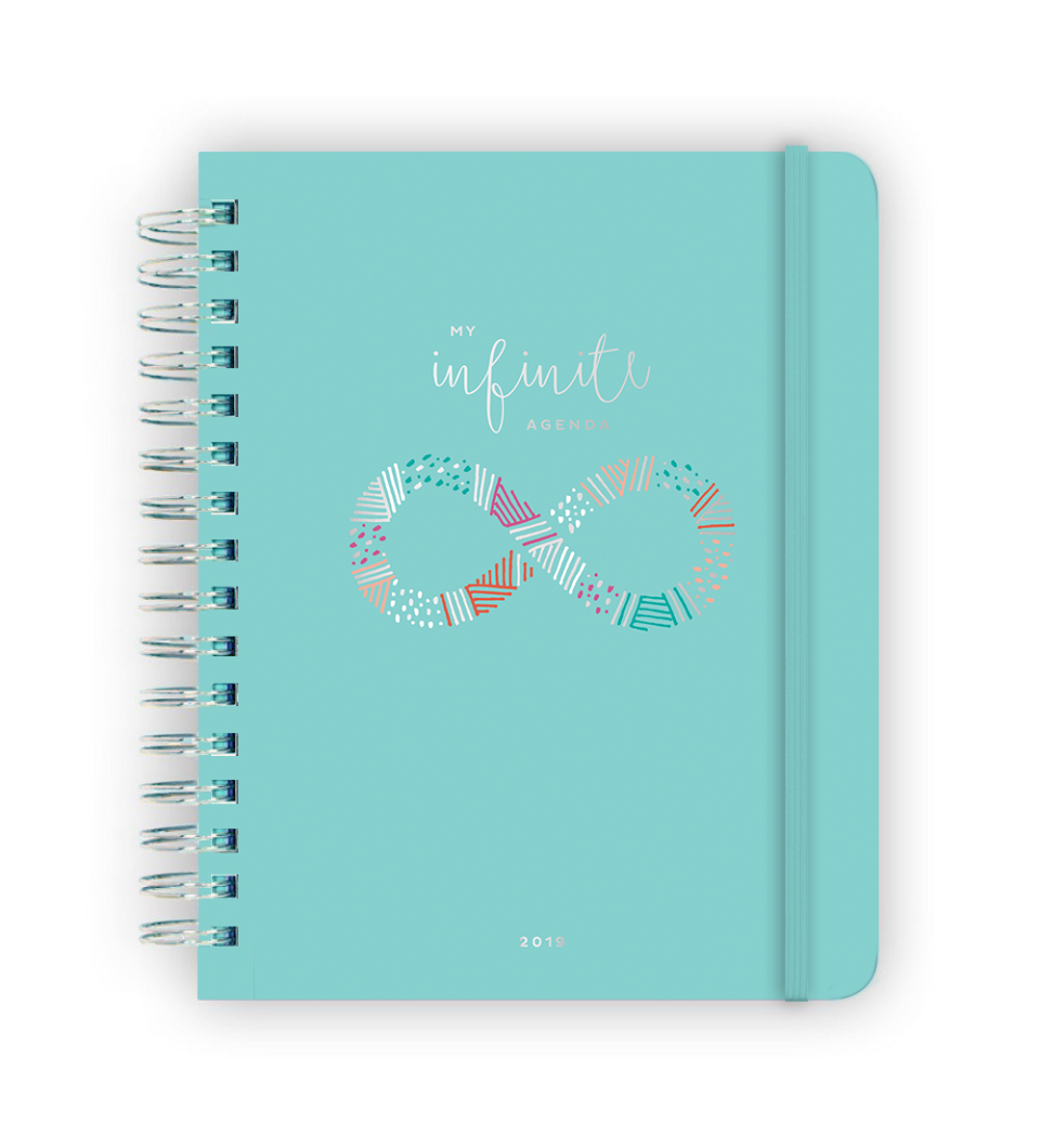2019 Daily/Monthly Planner
