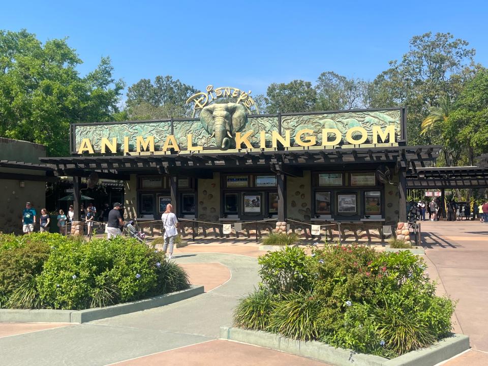 entrance to animal kingdom theme park at disney world