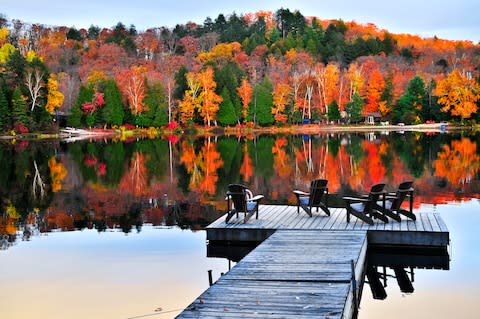 Algonquin Provincial Park in autumn - Credit: GETTY