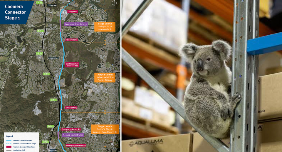 Left - a map of the Coomera Connector. Right - a koala in a warehouse.