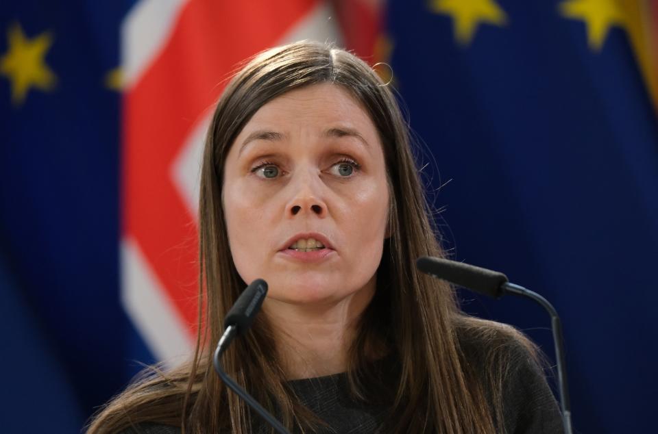 Brexit deal: Norway-style EEA membership may not be right for UK, says Iceland prime minister