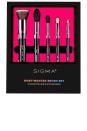 <p><strong>Sigma Beauty</strong></p><p>revolve.com</p><p><strong>$73.00</strong></p><p><a href="https://go.redirectingat.com?id=74968X1596630&url=https%3A%2F%2Fwww.revolve.com%2Fdp%2FSGBY-WU12%2F&sref=https%3A%2F%2Fwww.prevention.com%2Fbeauty%2Fmakeup%2Fg37620517%2Fbest-makeup-brush-sets%2F" rel="nofollow noopener" target="_blank" data-ylk="slk:Shop Now;elm:context_link;itc:0;sec:content-canvas" class="link ">Shop Now</a></p><p>It's called most-wanted for a reason. Sigma is considered an OG brand when it comes to makeup brushes, being one of the first to push non-professionals away from using that foam tip applicator that comes in drugstore palettes. This set features <strong>their most popular designs</strong> including a flat top kabuki, a tapered highlighting brush, two blending brushes for eyeshadow, and a pencil brush. </p>