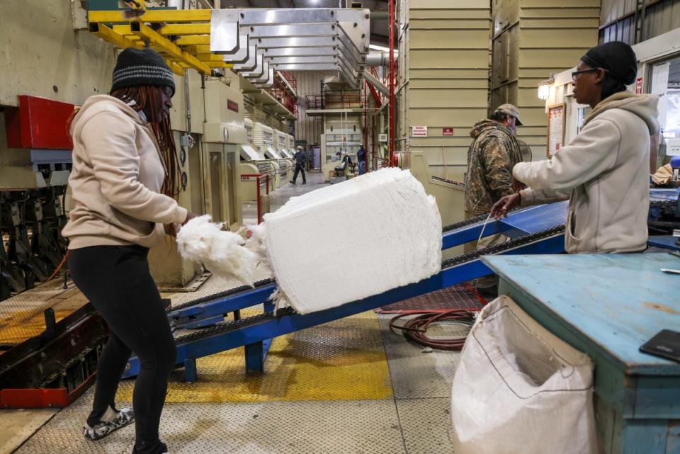 Workers get ready to pack processed cotton to be shipped on Nov. 1, 2023 from Mahalitc’s Issaquena-South Washington Gin Inc. in Glen Allan, Miss.