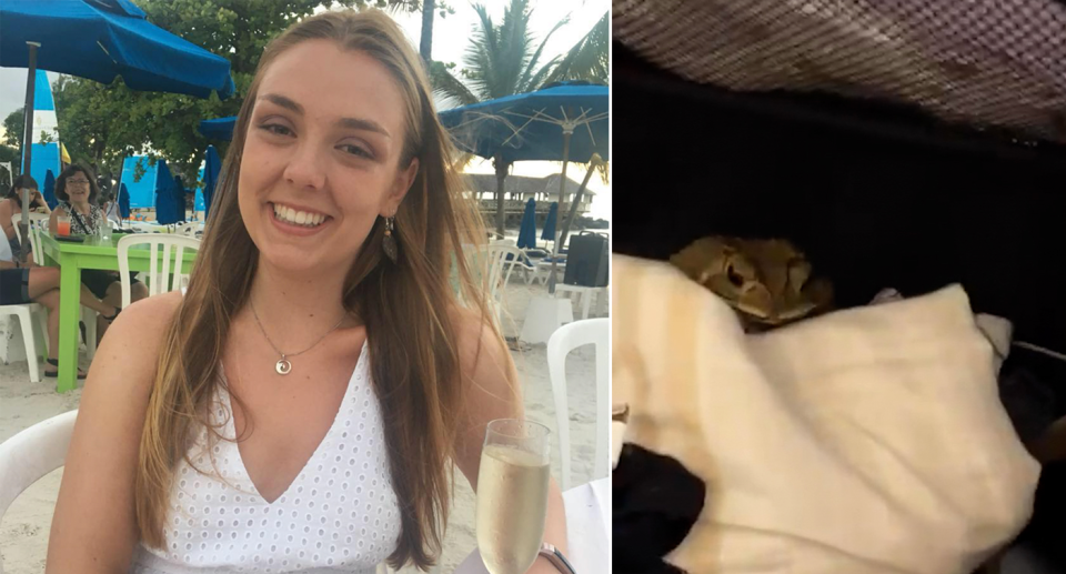 The young student got quite a fright when opening her suitcase at home. Source: Australscope/Viral News