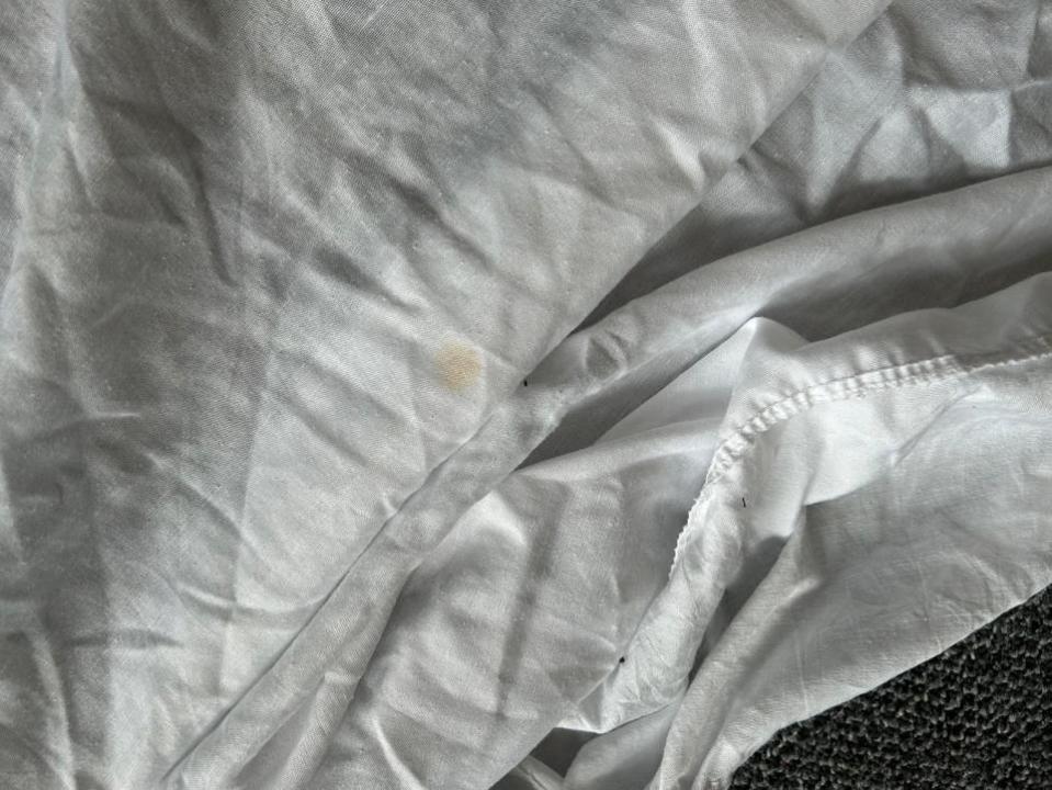 Glasgow Times: The sheets were pictured with stains