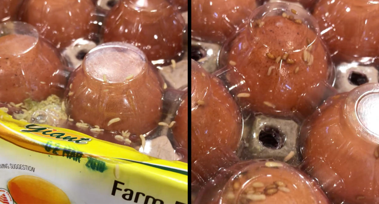 Video posted online showed maggots squirming among eggs. (Photo: Facebook/Tang WS)