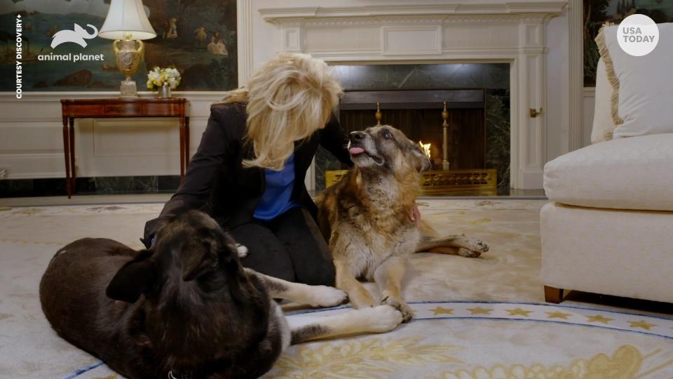 First Lady Jill Biden encouraged people to wear masks when walking their pets in a PSA that will air during the Puppy Bowl.