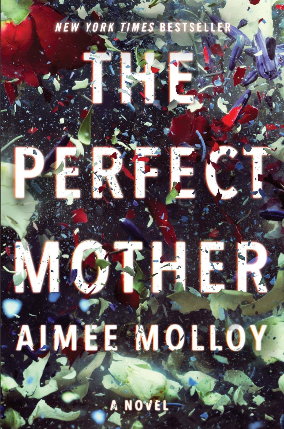 The Perfect Mother by Aimee Molloy (Harper)