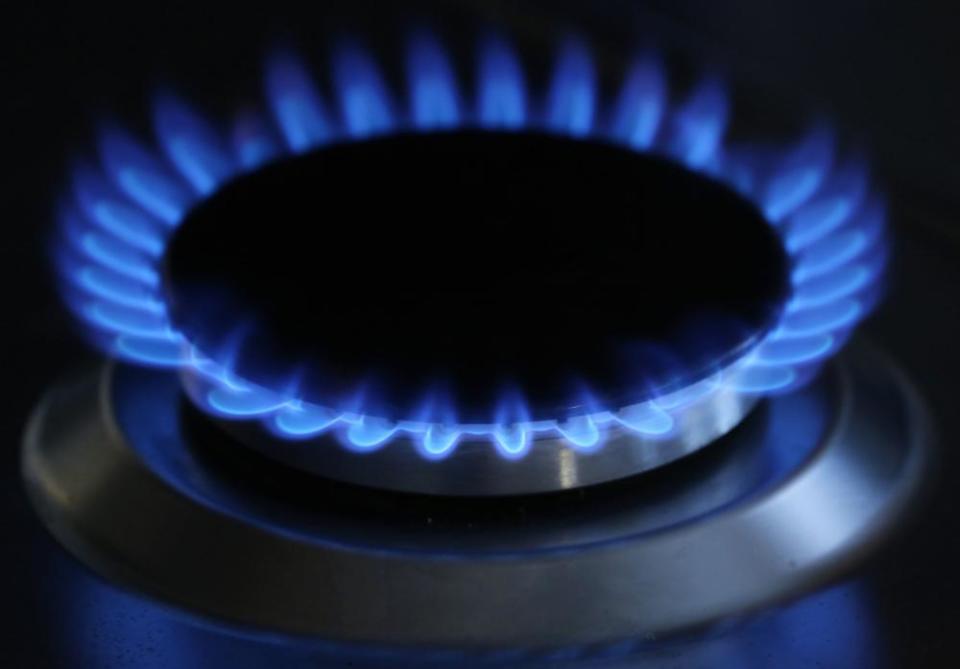 a gas cooker flame