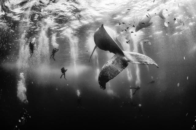 National Geographic Traveller Photo Contest 2015 winners