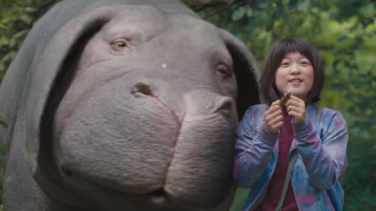 <em>Okja</em> (Photo: Netflix)