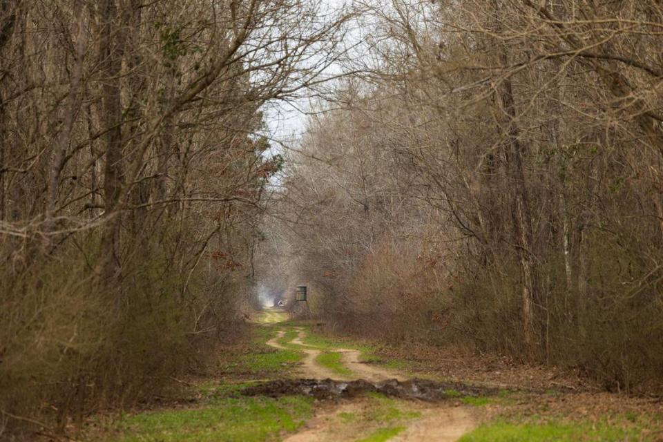 The site of a wetland restoration project around Mills Creek in Richland County on Thursday, February 22, 2024. This project will offset the wetlands lost to developing the new Scout Motors electric vehicle plant.