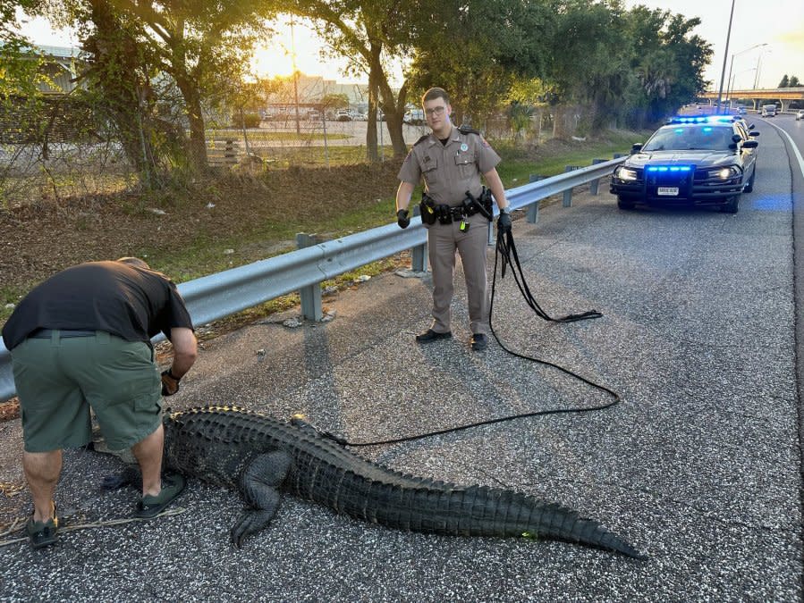 Courtesy: FHP Tampa/X