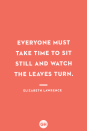 <p>Everyone must take time to sit still and watch the leaves turn.</p>