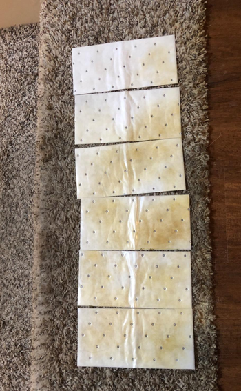 Reviewer photo showing cleaning pads absorbing stains from carpet 