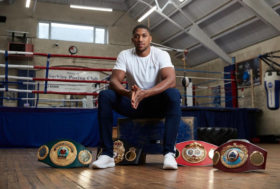 <p>Anthony Joshua successfully defended his recaptured heavyweight titles against Kubrat Pulev</p> (Mark Robinson)