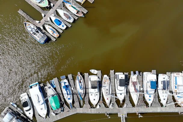 PHOTO: Brownish water is visible at the Lowrie Yacht Harbor as an algae bloom continues in the San Francisco Bay, Aug. 29, 2022, in San Rafael, Calif. (Justin Sullivan/Getty Images)