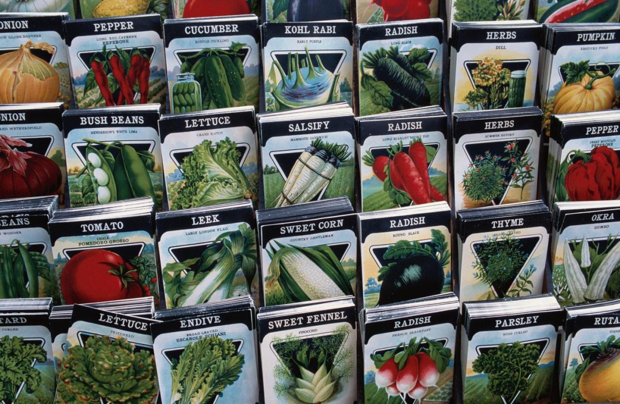 chaos gardening seed packets