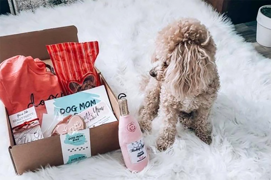 Dog Mom Box