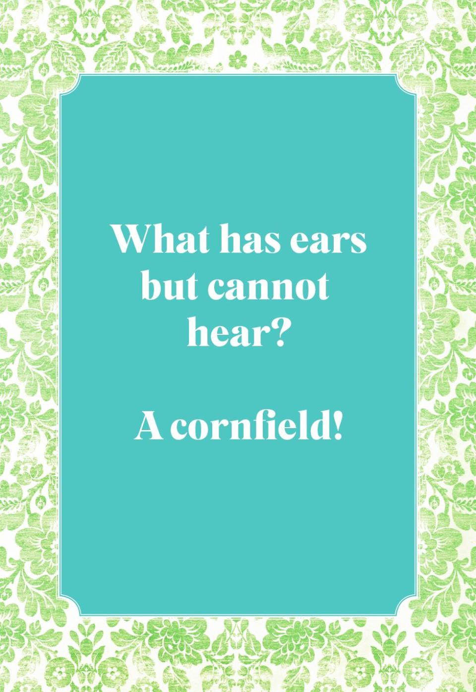 What has ears but cannot hear?