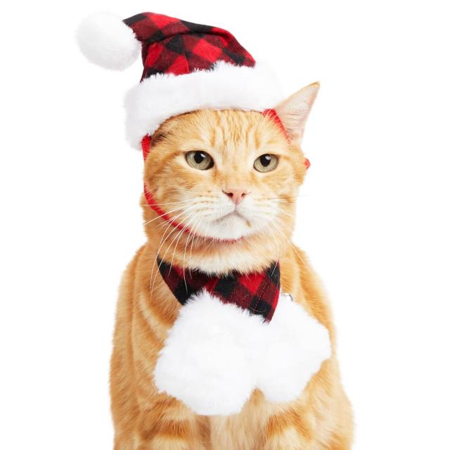 Buy Girls'love talk 2 pieces Christmas Cat Clothes, Pet Christmas Cloak  Costume Adjustable Cute Santa Pet Cape with Christmas Hat Xmas Outfit for  Cats and Dogs Online at desertcartINDIA
